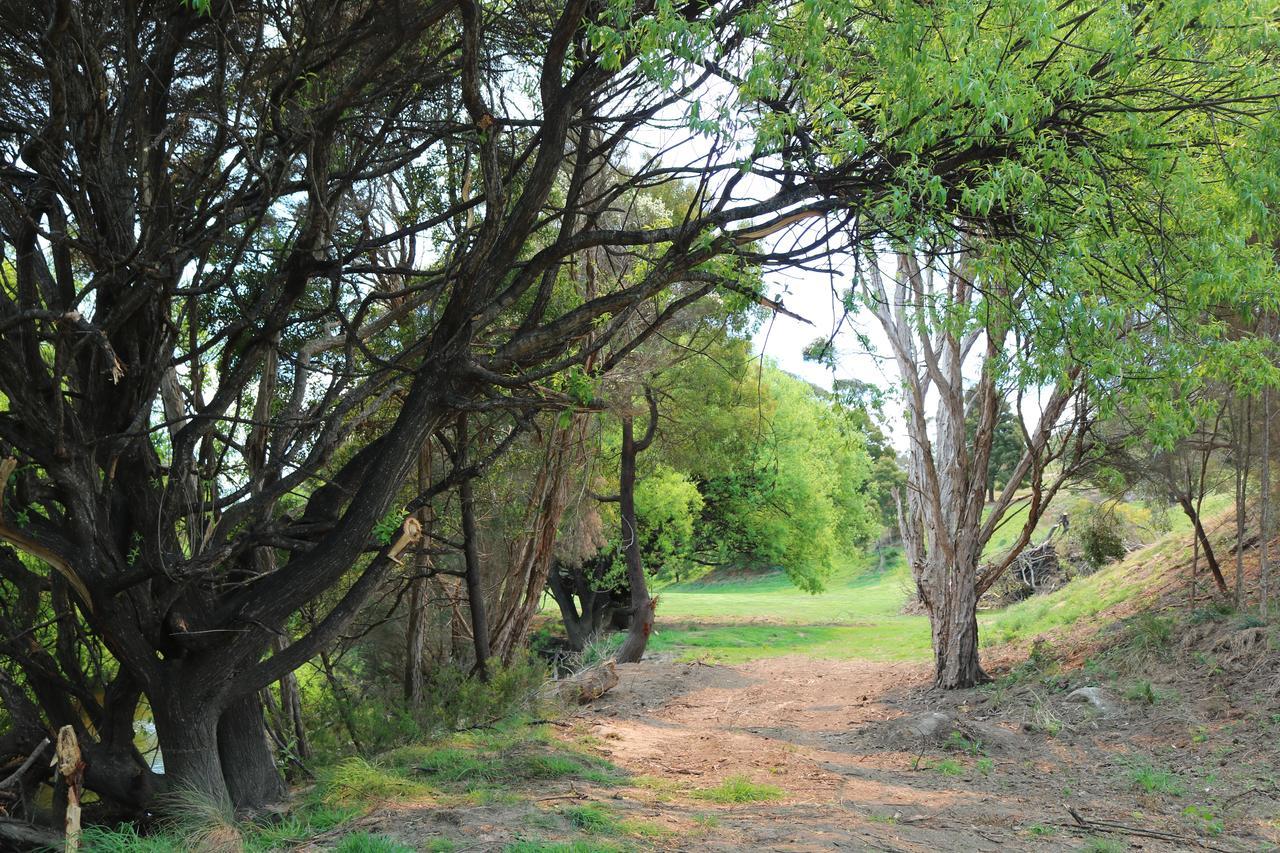 ホテル George River Park セントへレンズ エクステリア 写真